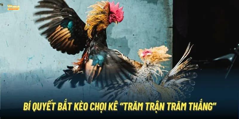 Kinh Nghiệm Bắt Kèo Đá Gà Từ Cao Thủ